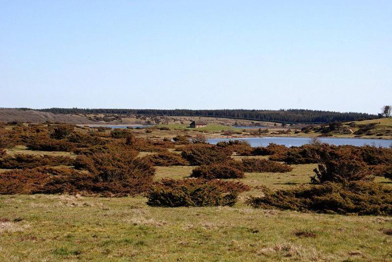 Hedelandets Camping Sevel Exterior photo